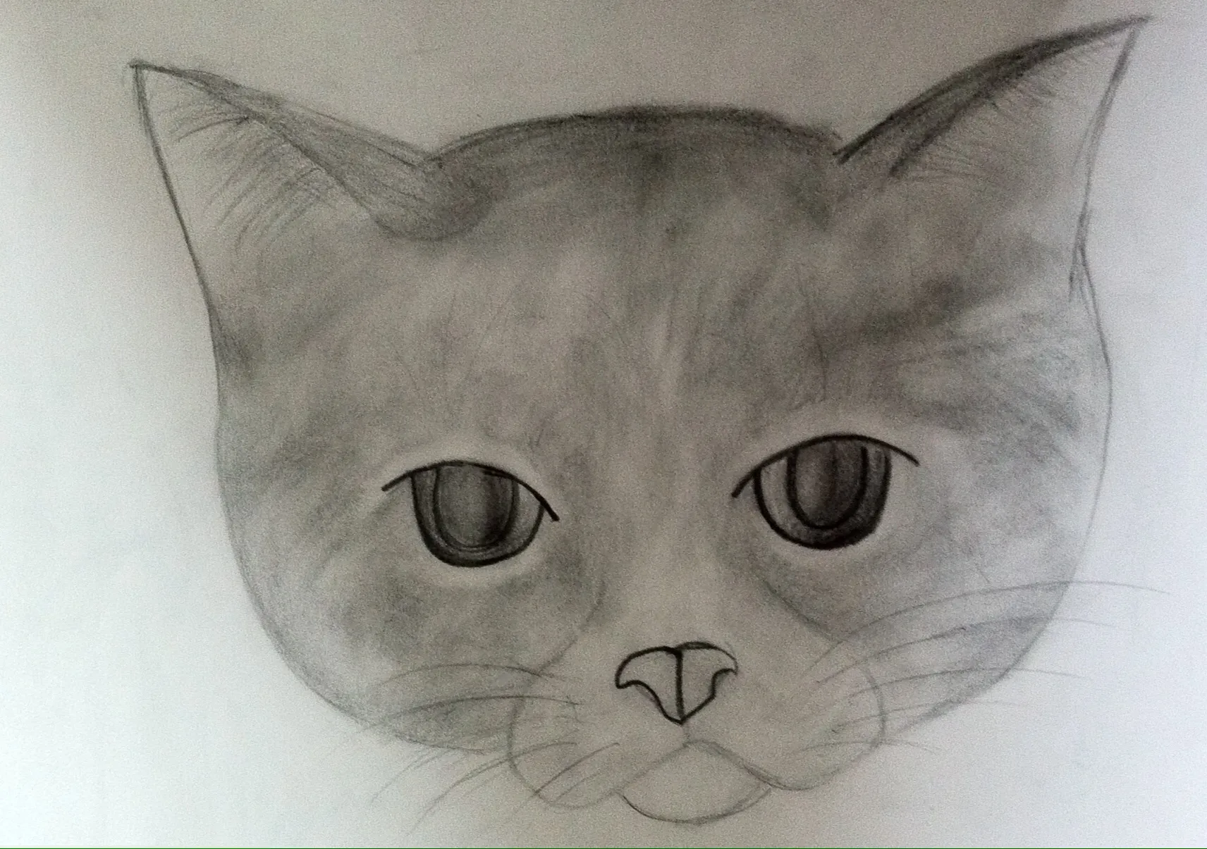 Gato — Color Pencil, 2012