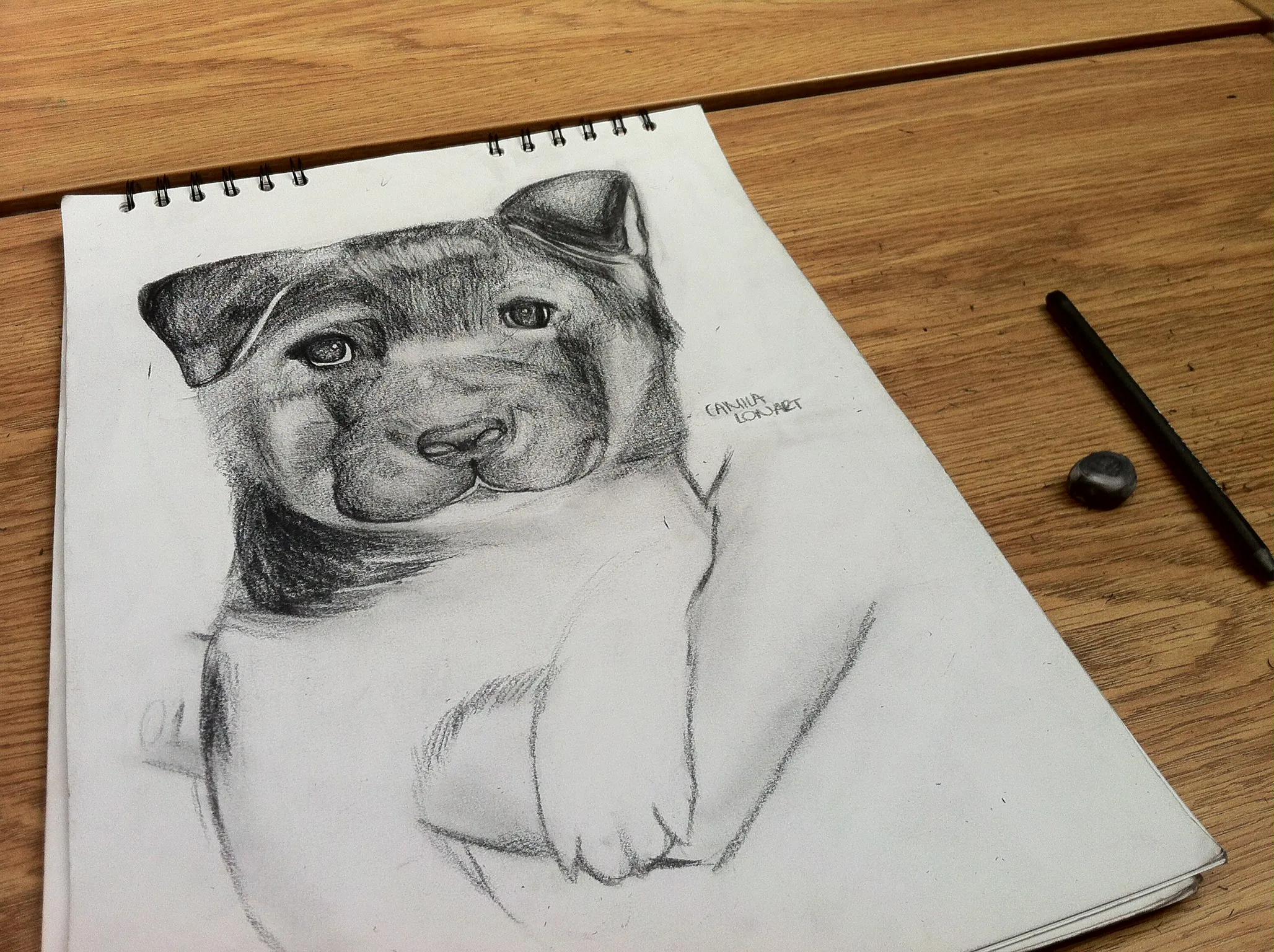 Perrito — Pencil, 2012