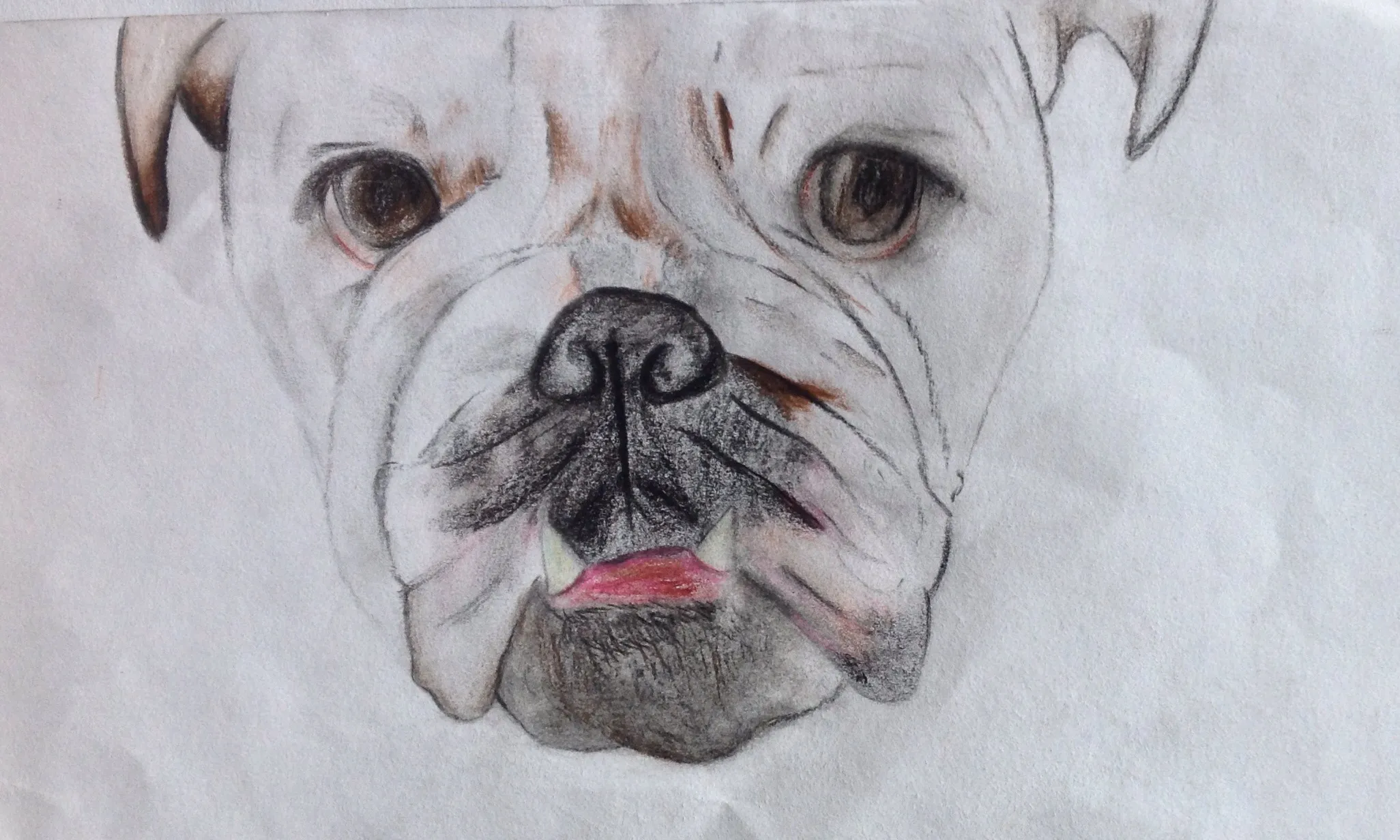 Tyler — Pencil, 2013