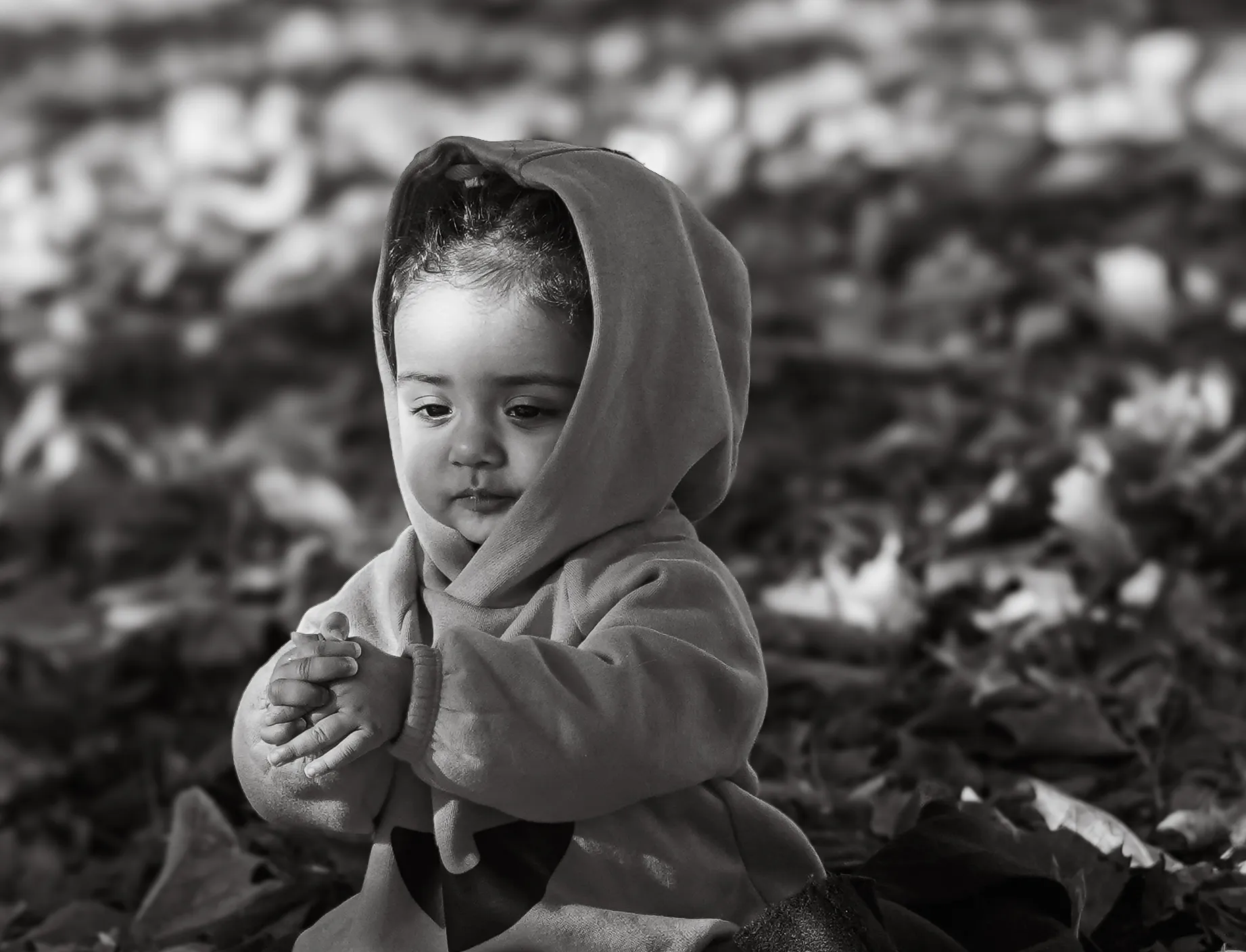 Baby photography