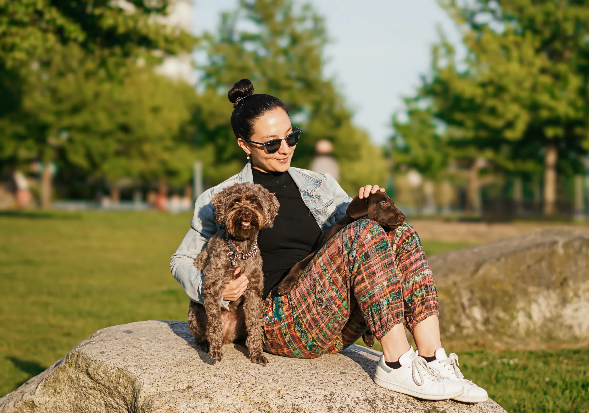 Pet portrait 27