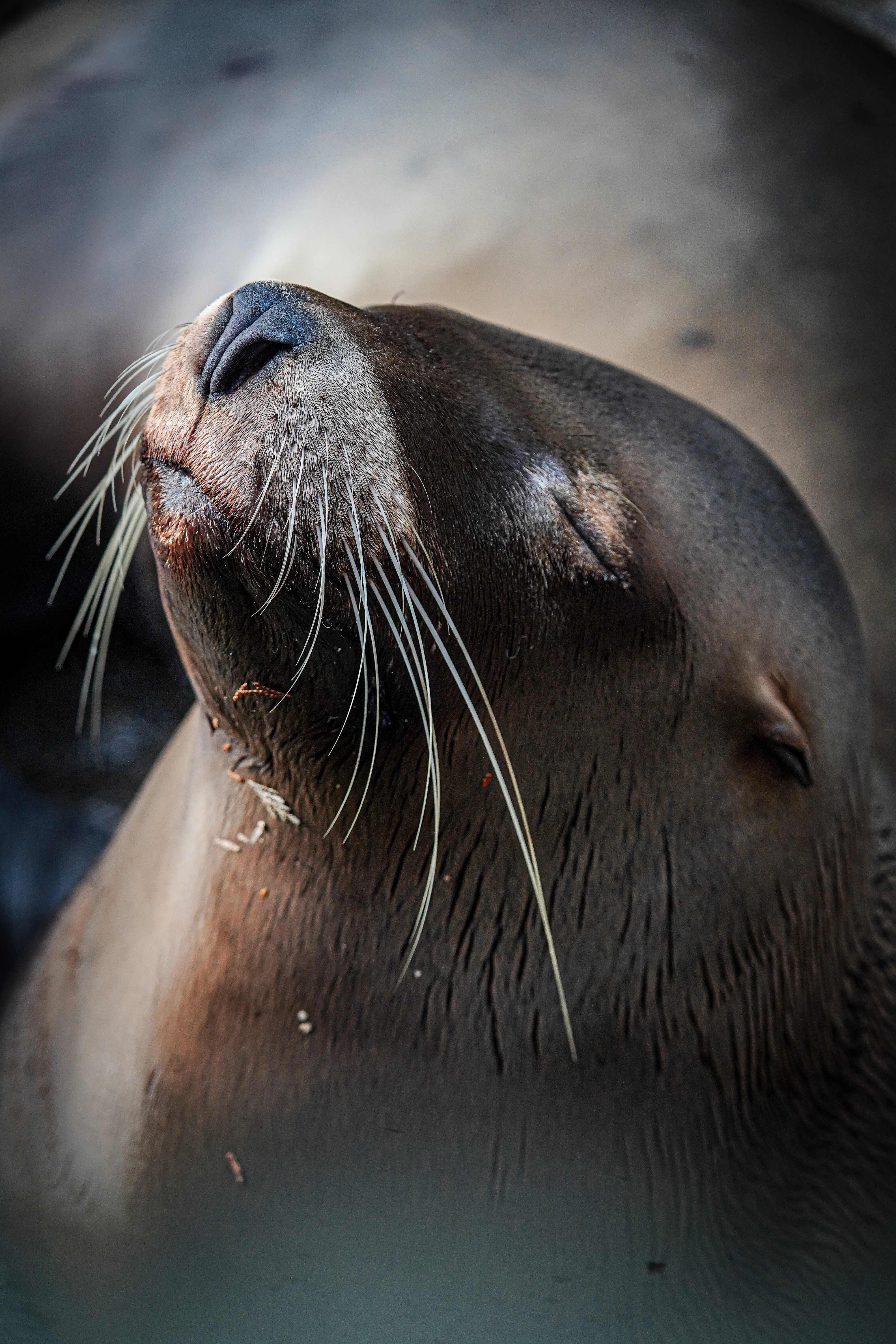 Wildlife photo