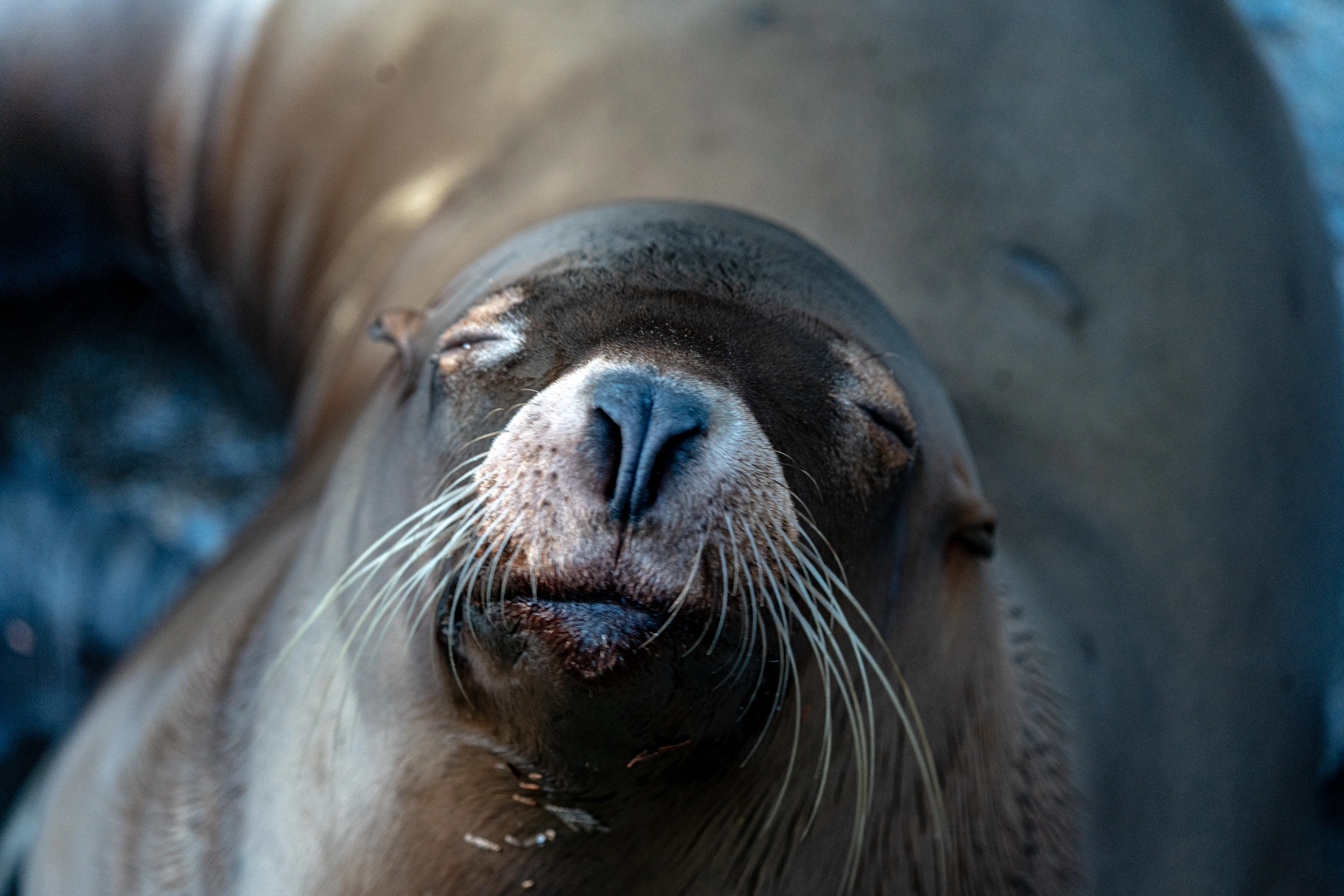 Wildlife photo