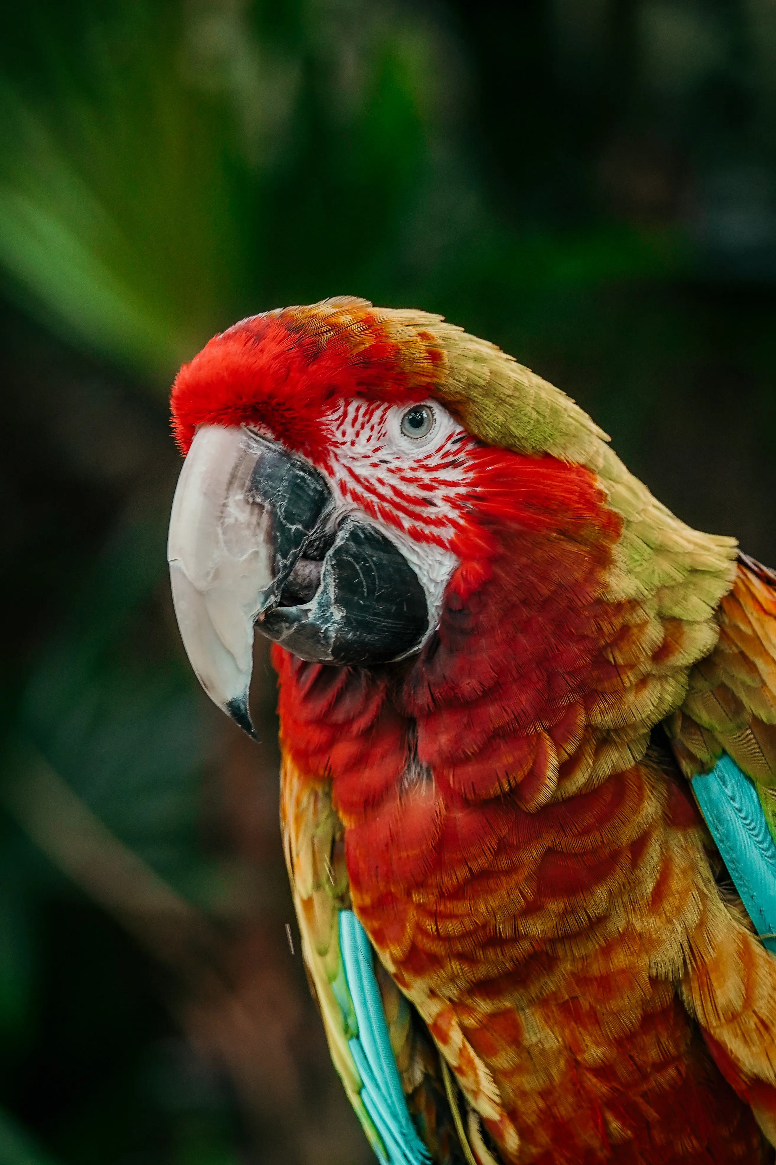 Wildlife photo