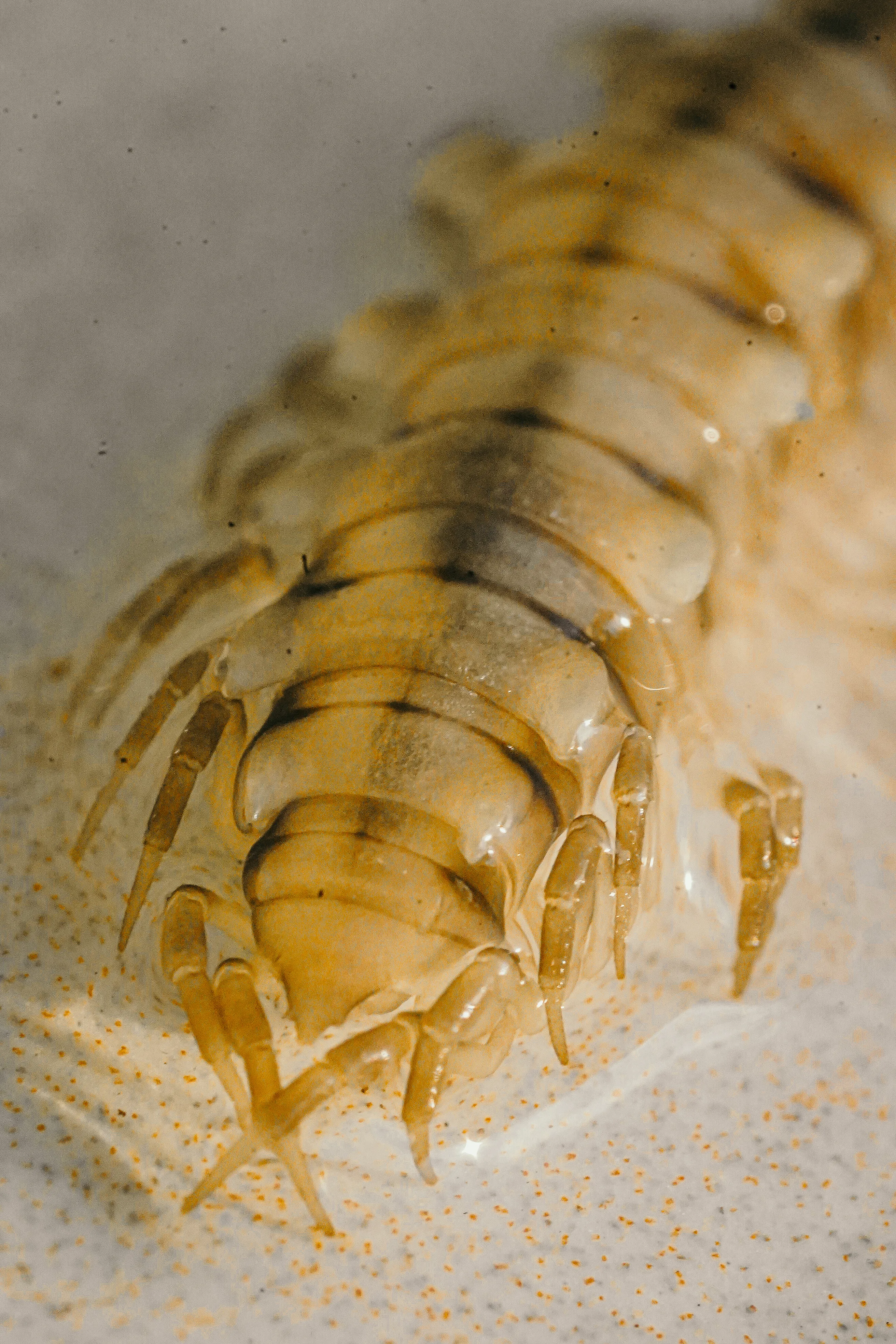 Wildlife photo