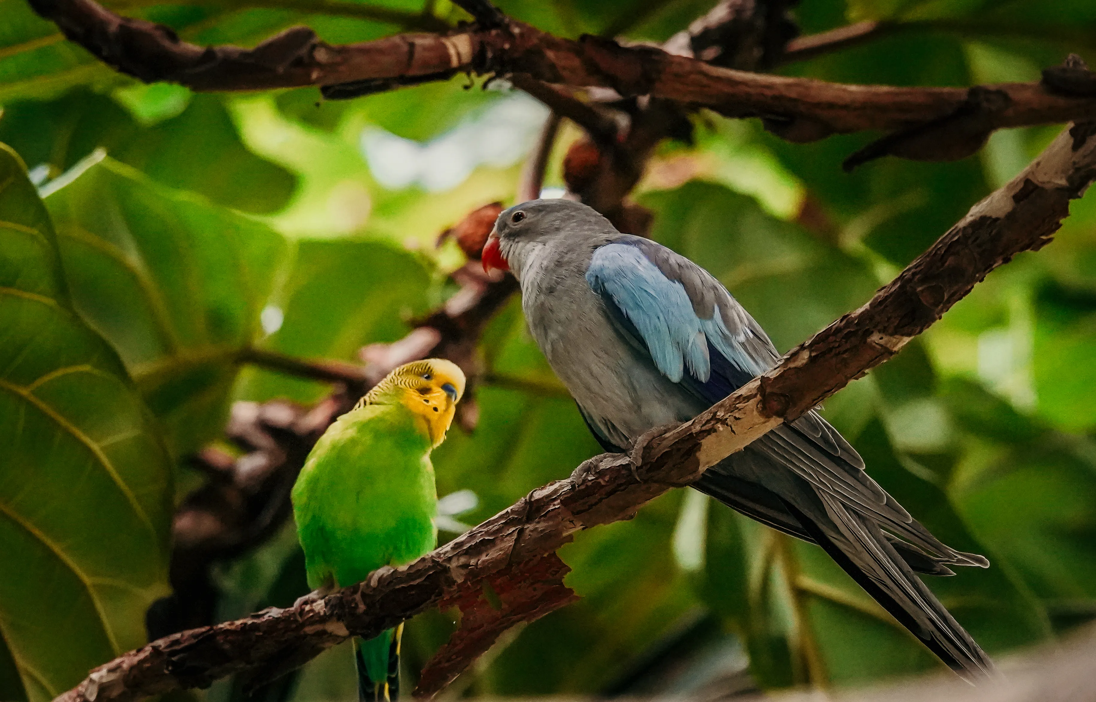 Wildlife photo