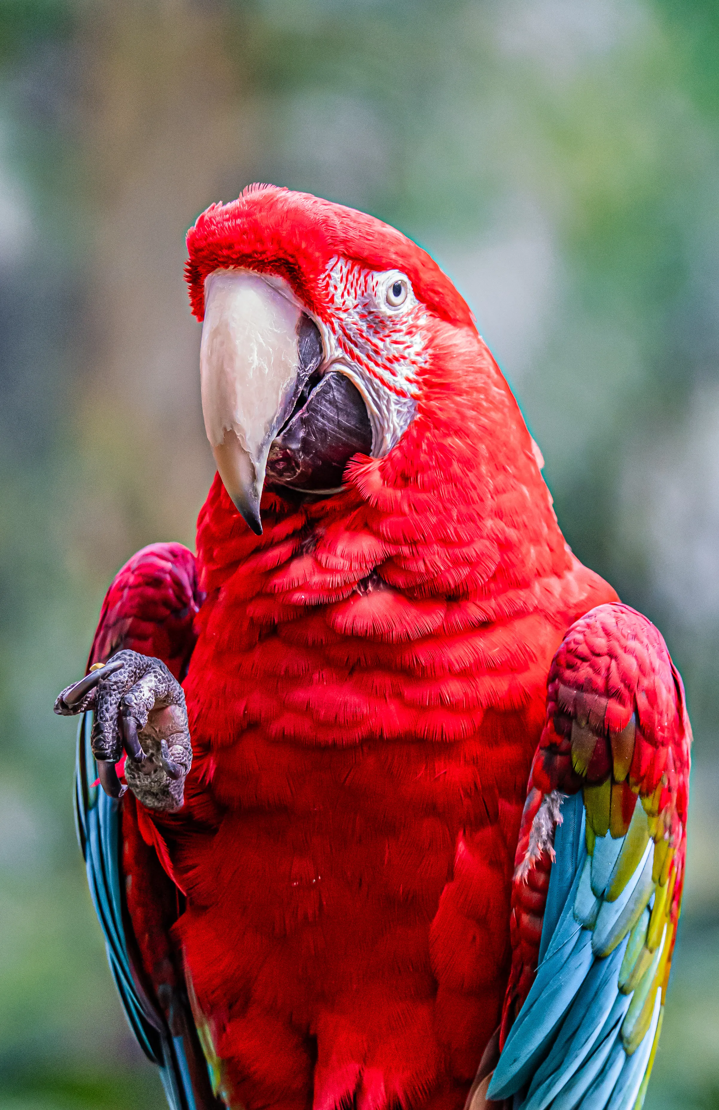 Wildlife photo