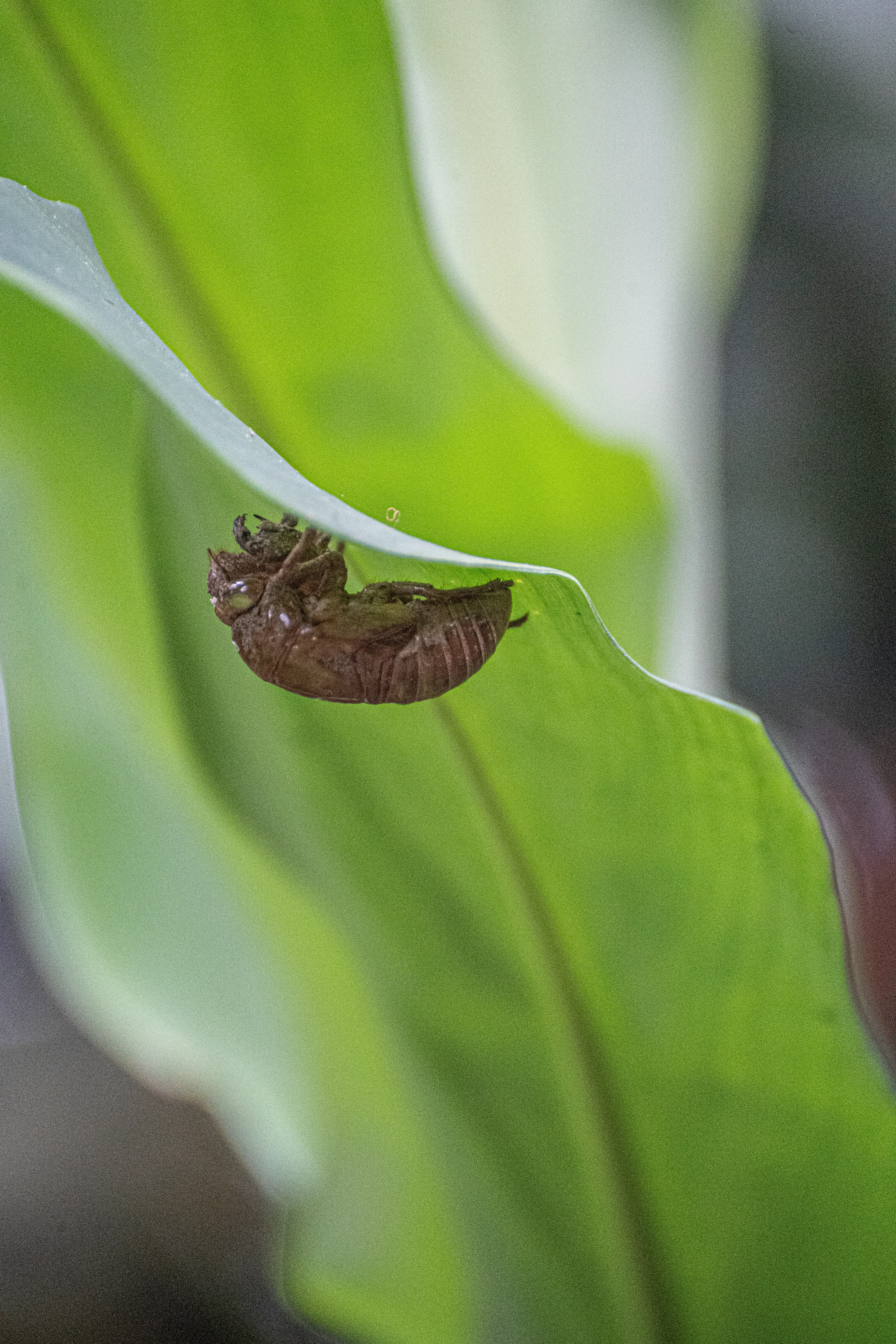 Wildlife photo