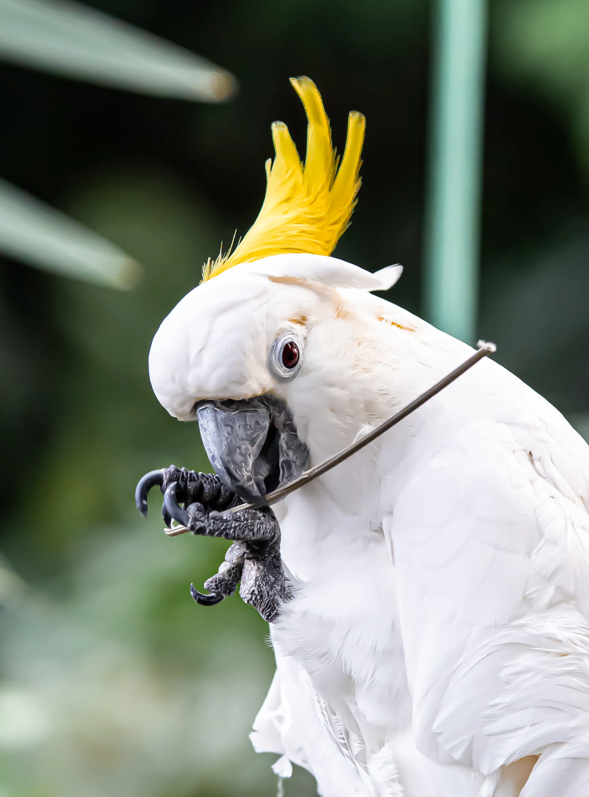 Wildlife photo