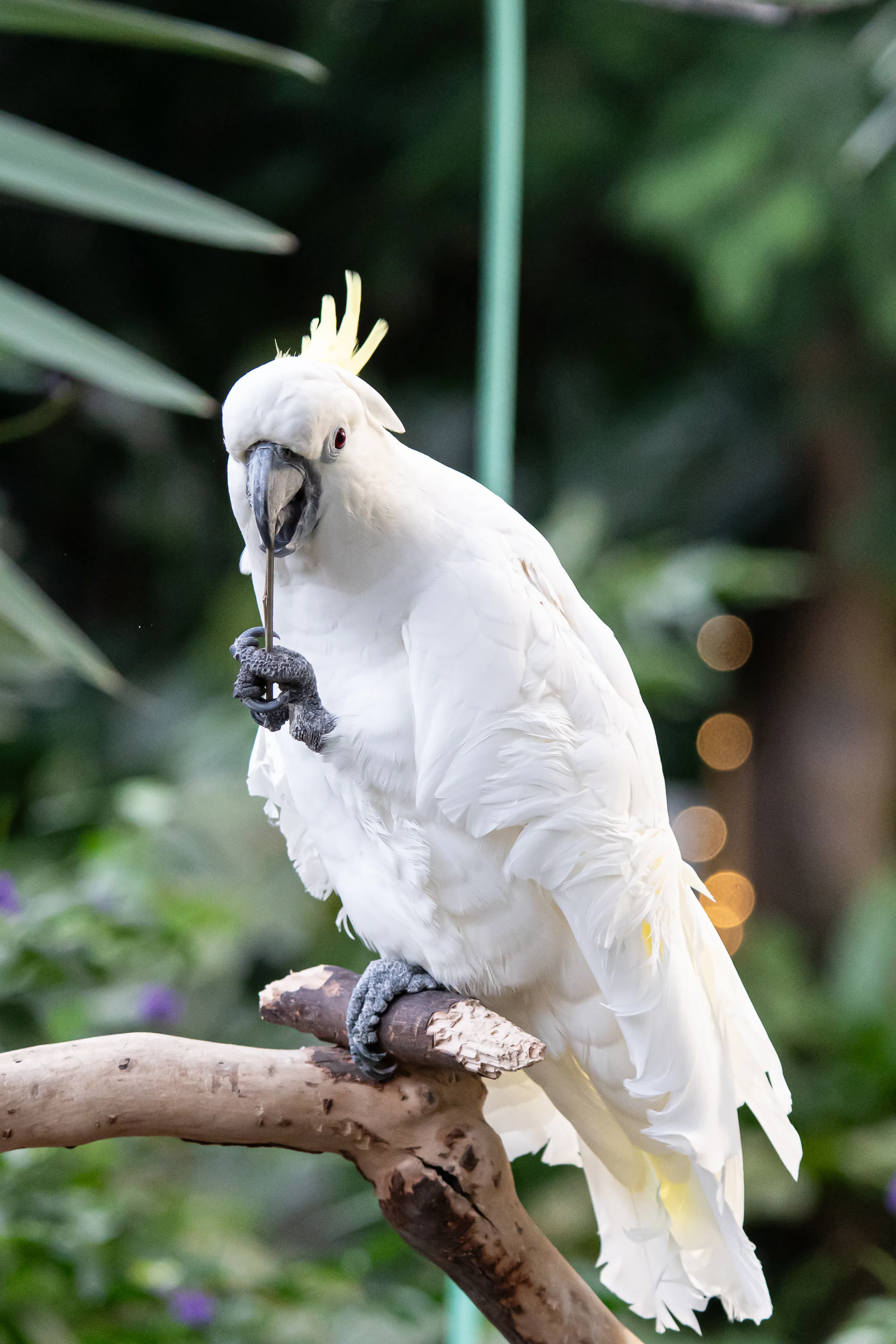 Wildlife photo