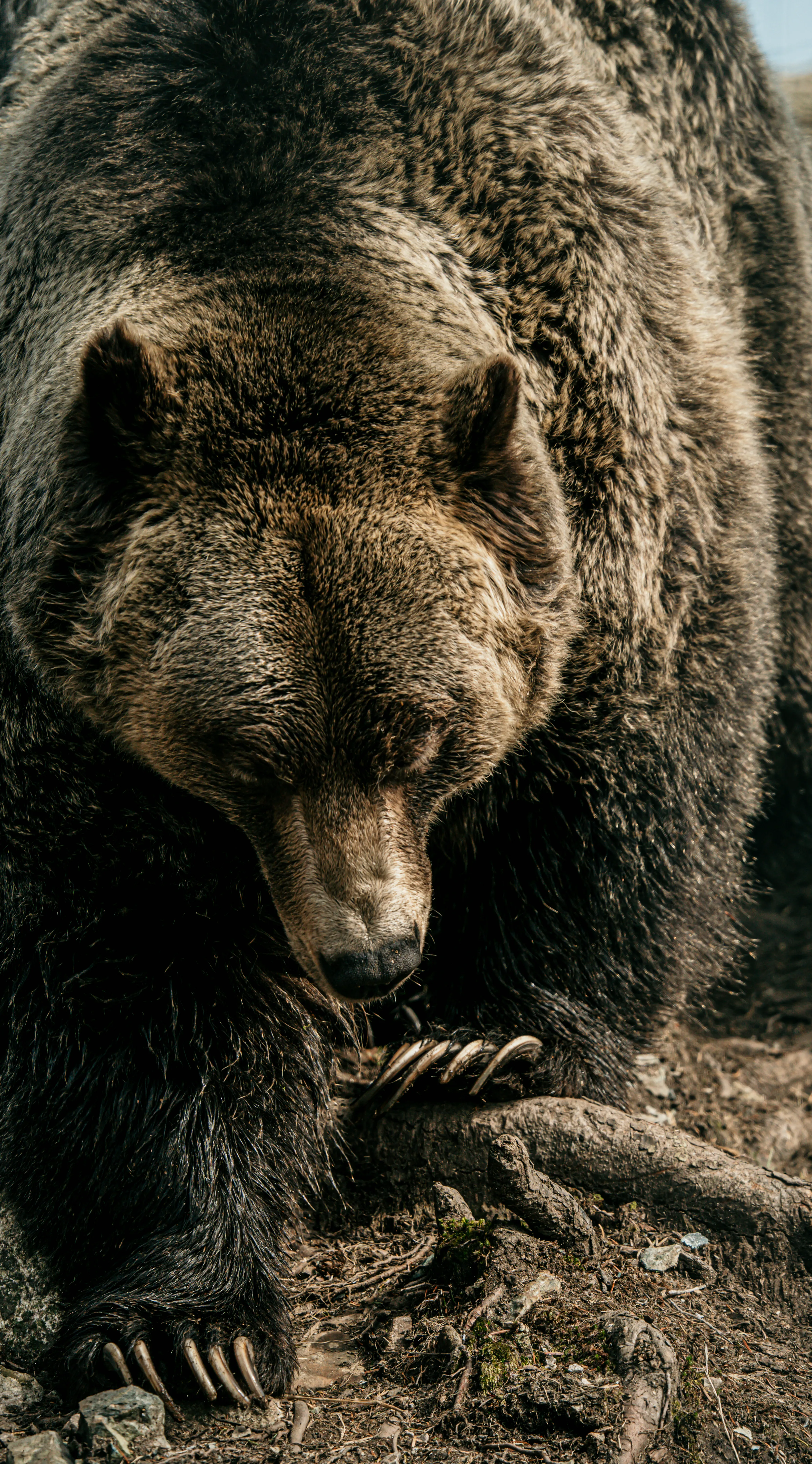Wildlife photo