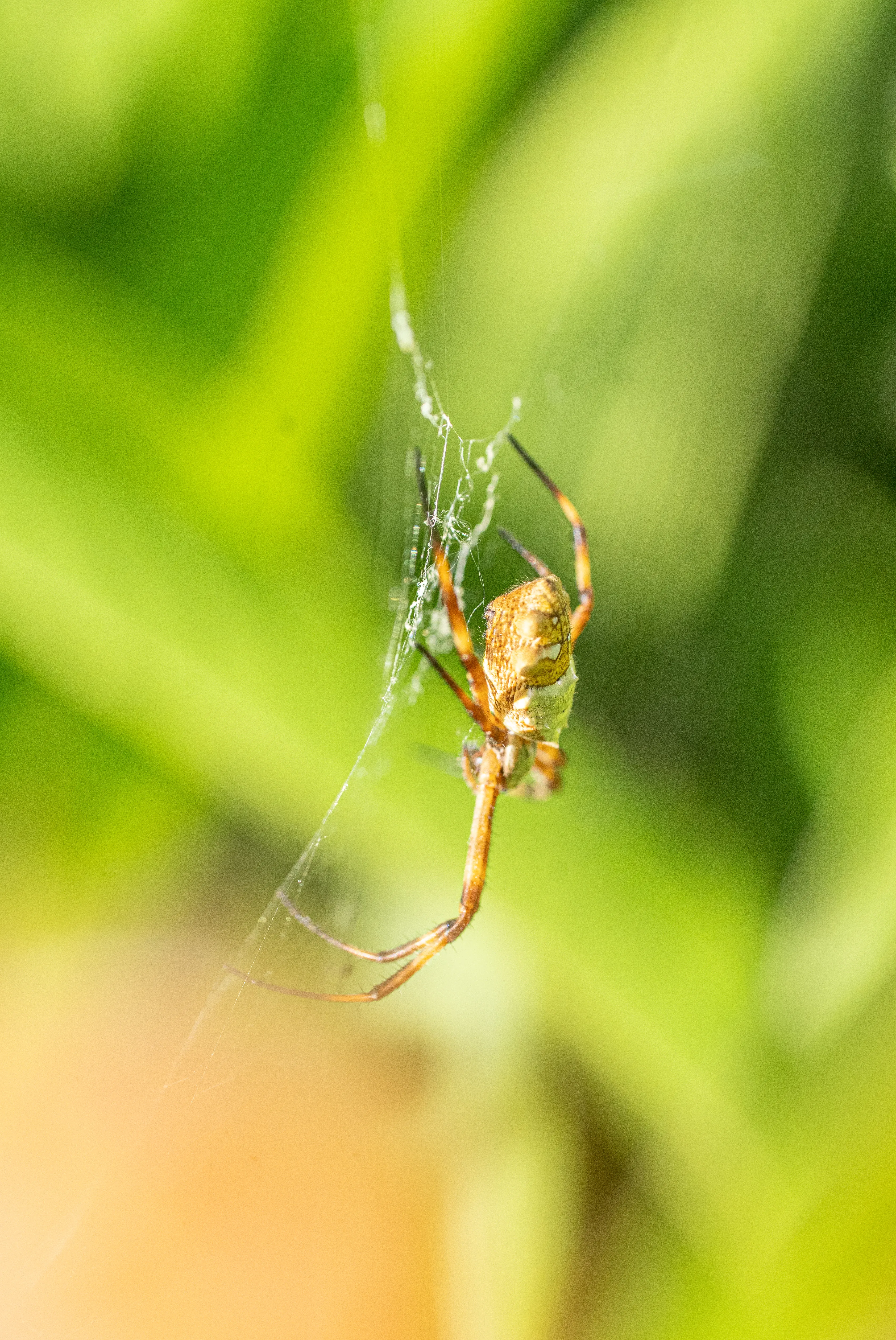 Wildlife photo