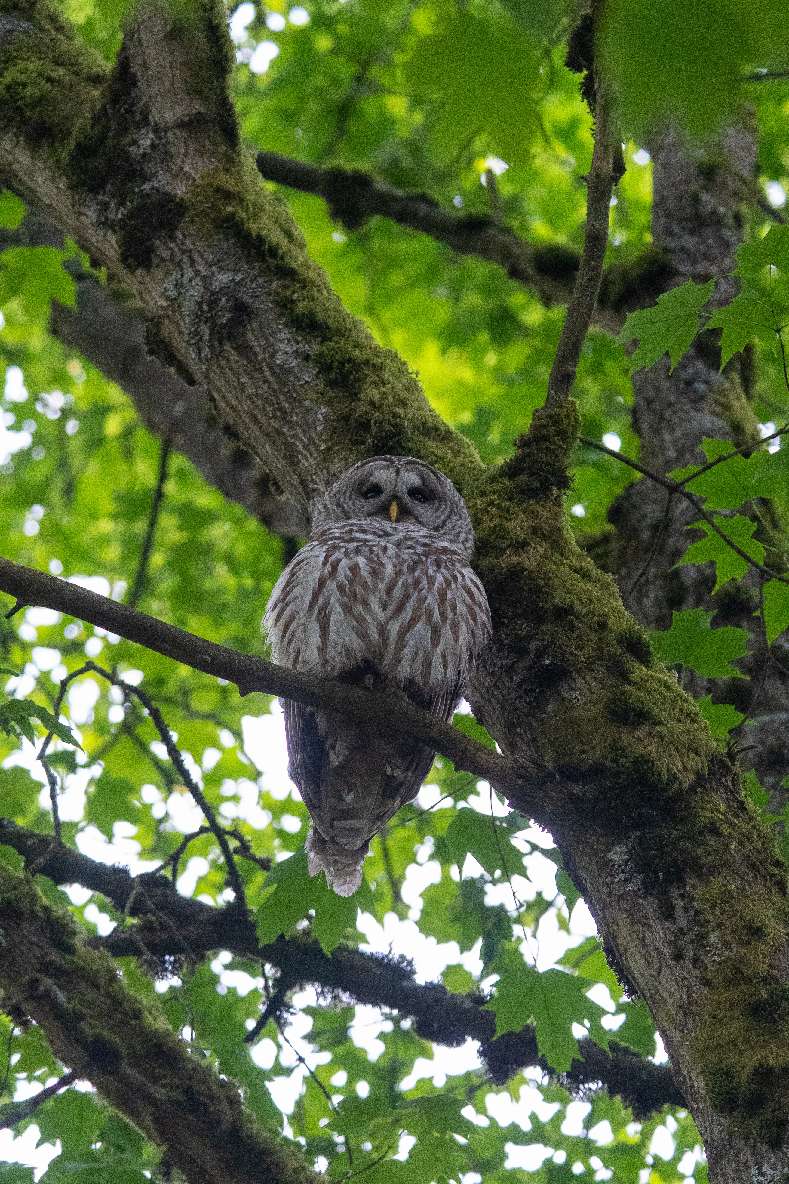 Wildlife photo