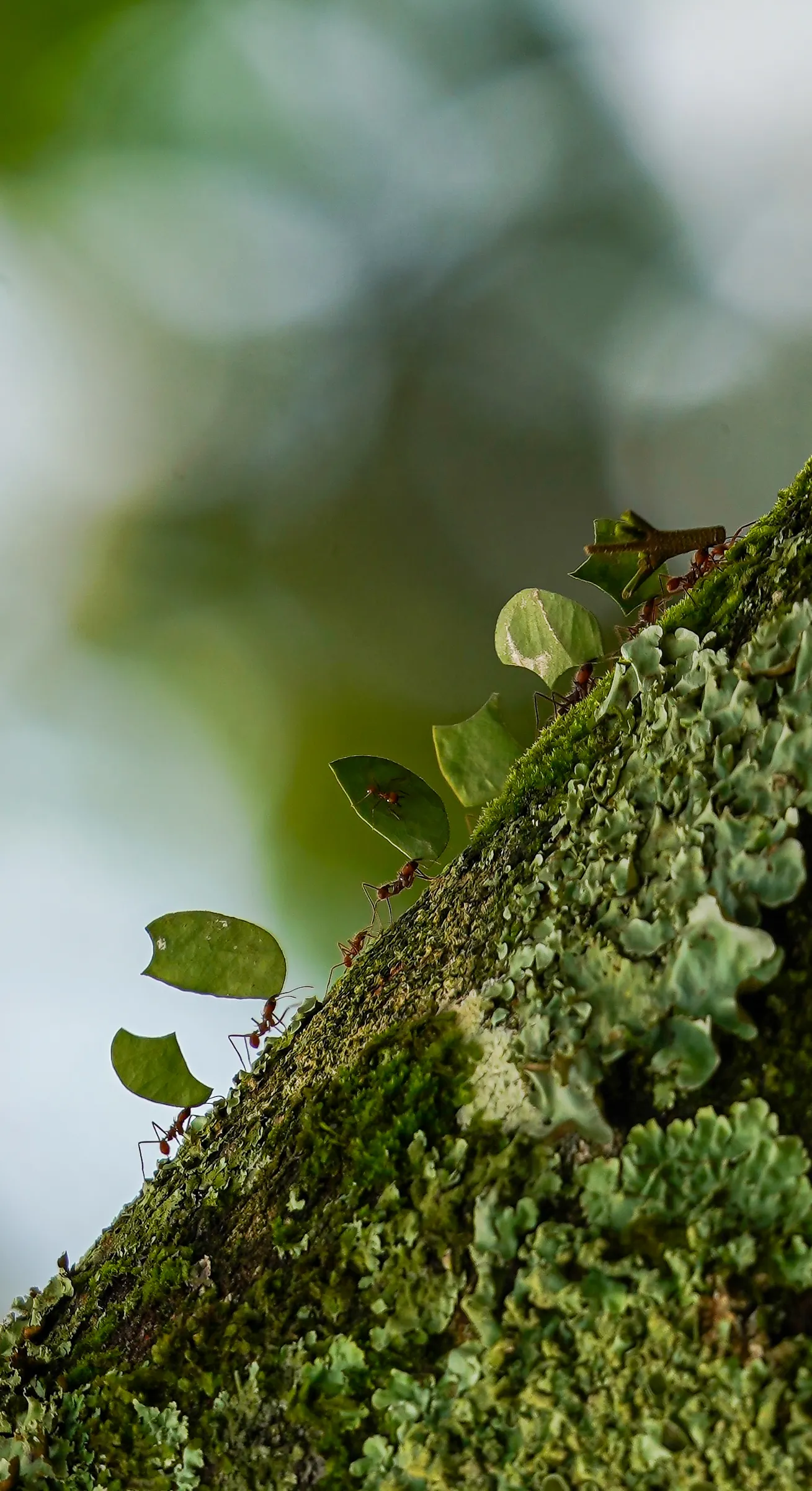 Wildlife photo