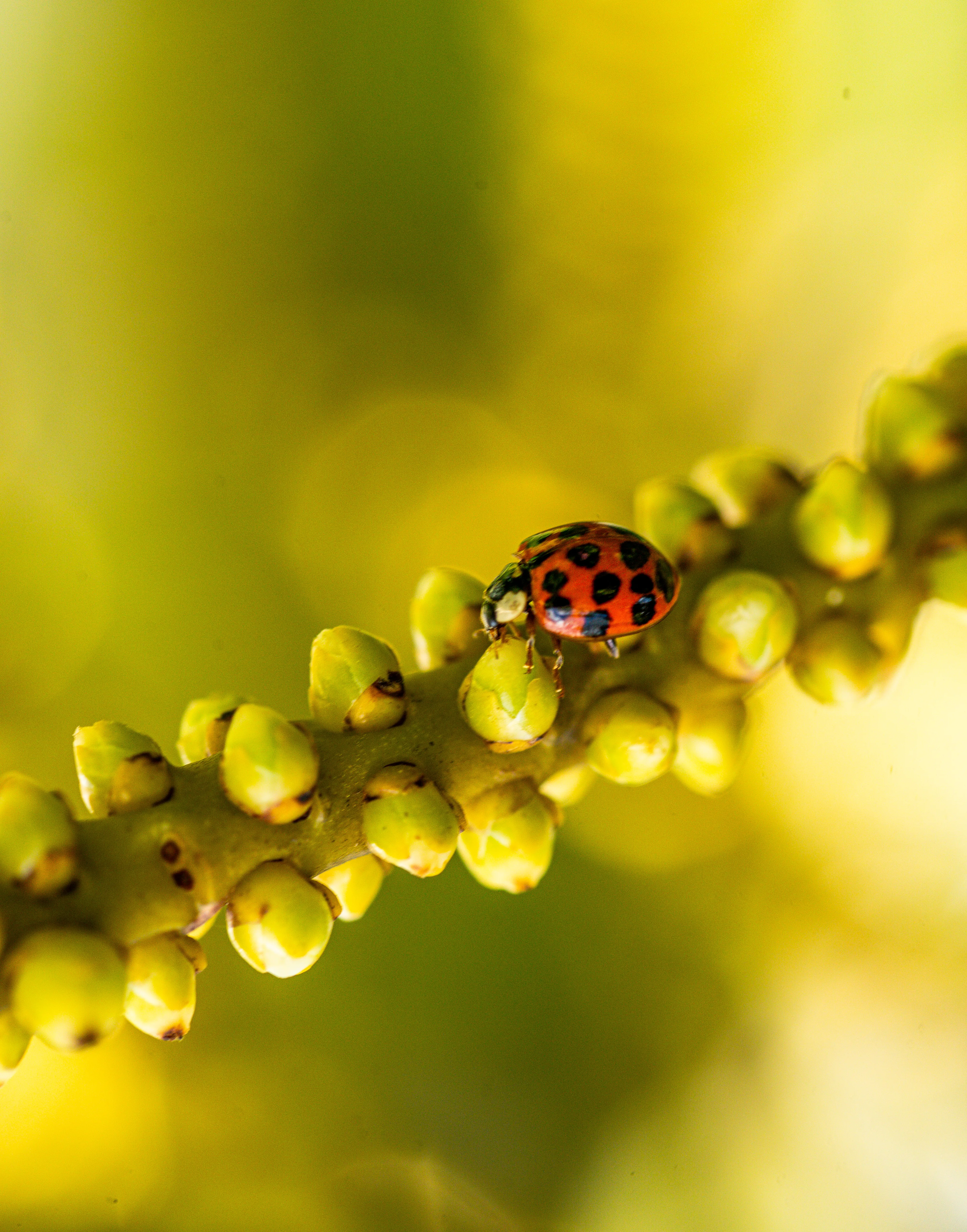Wildlife photo