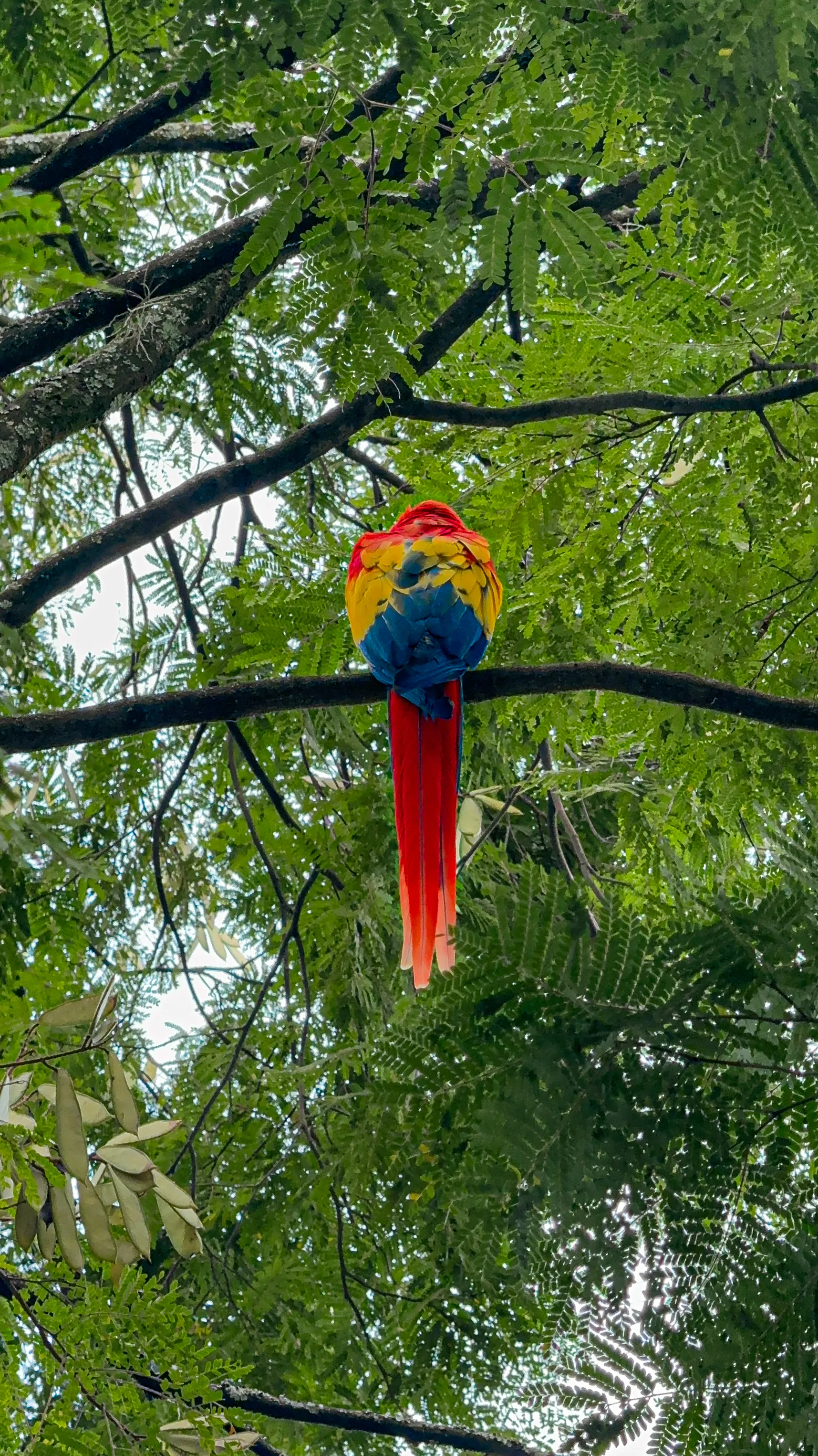 Wildlife photo
