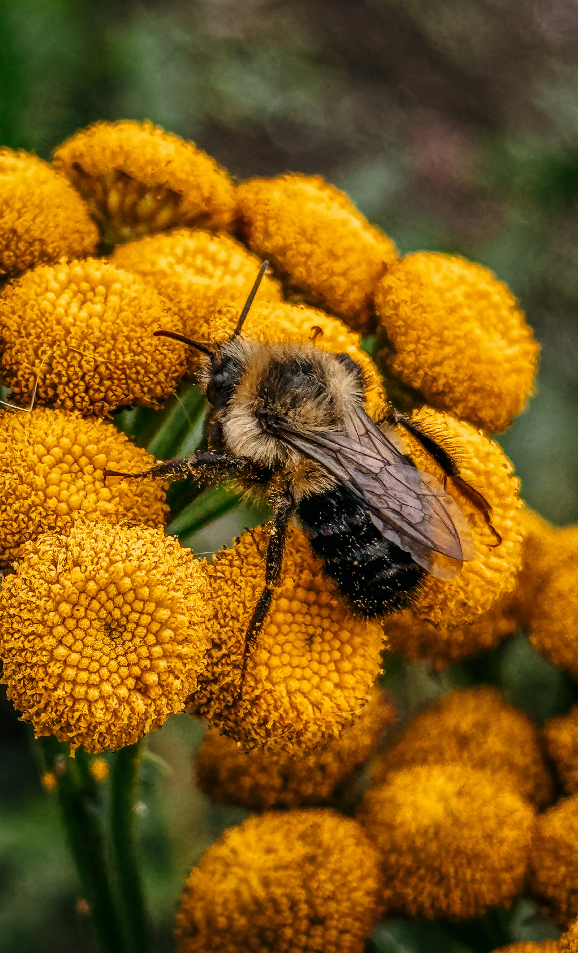 Wildlife photo