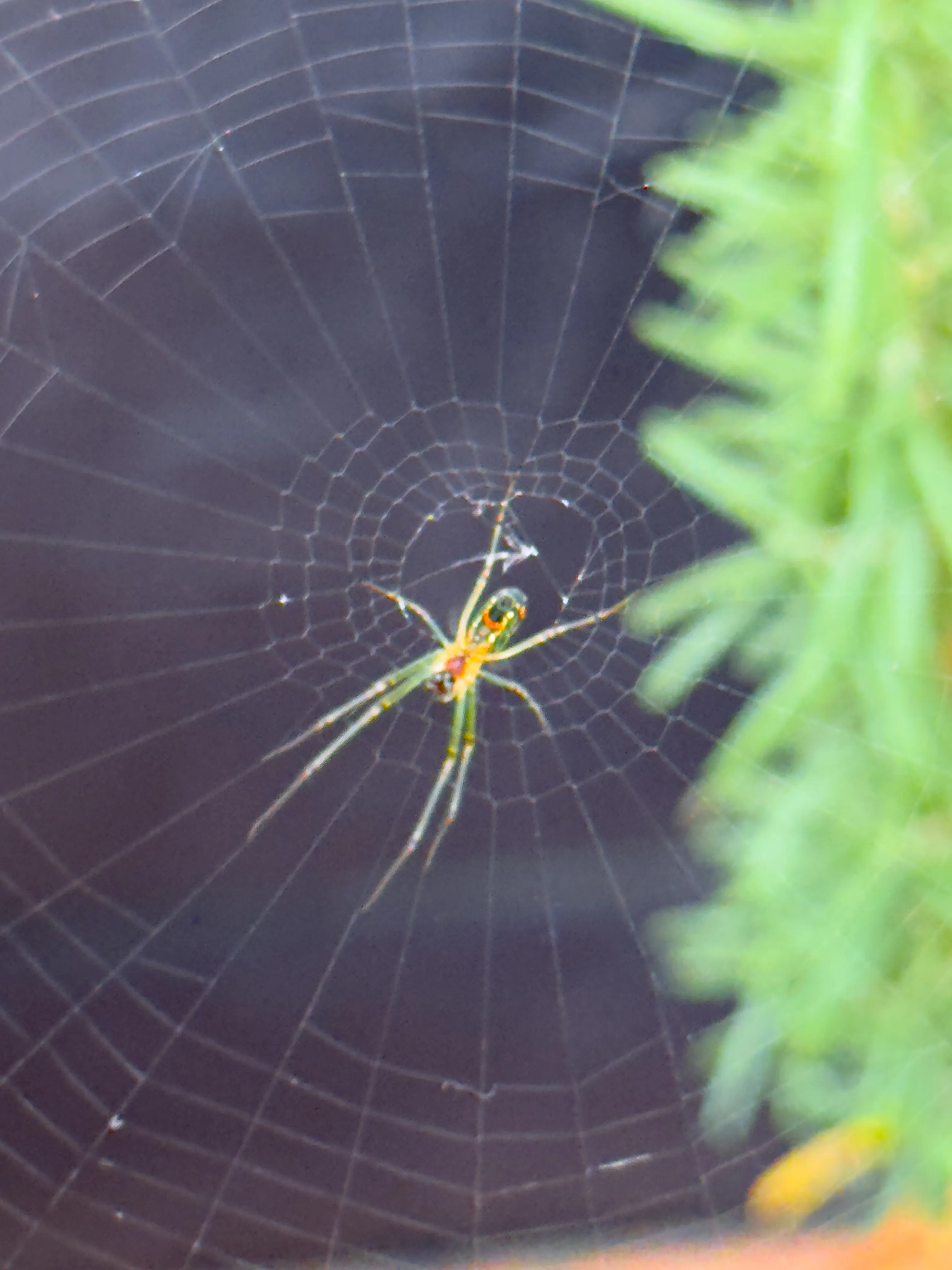 Wildlife photo