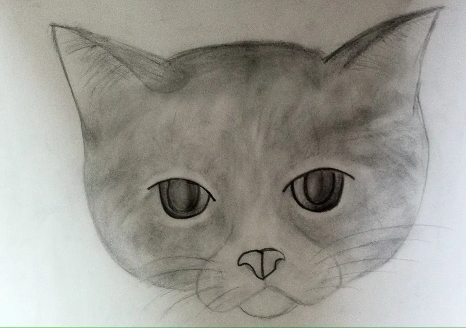 Gato — Color Pencil, 2012