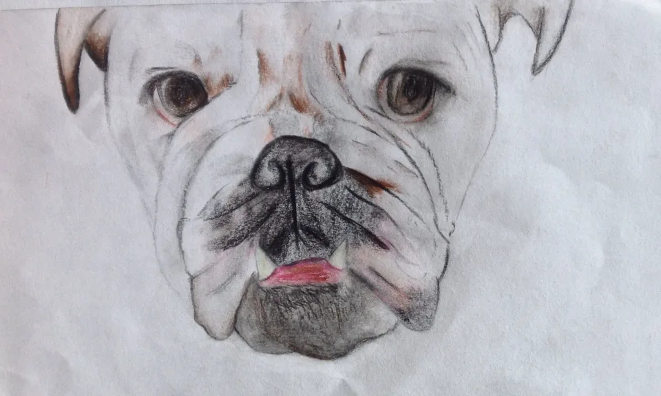 Tyler — Pencil, 2013