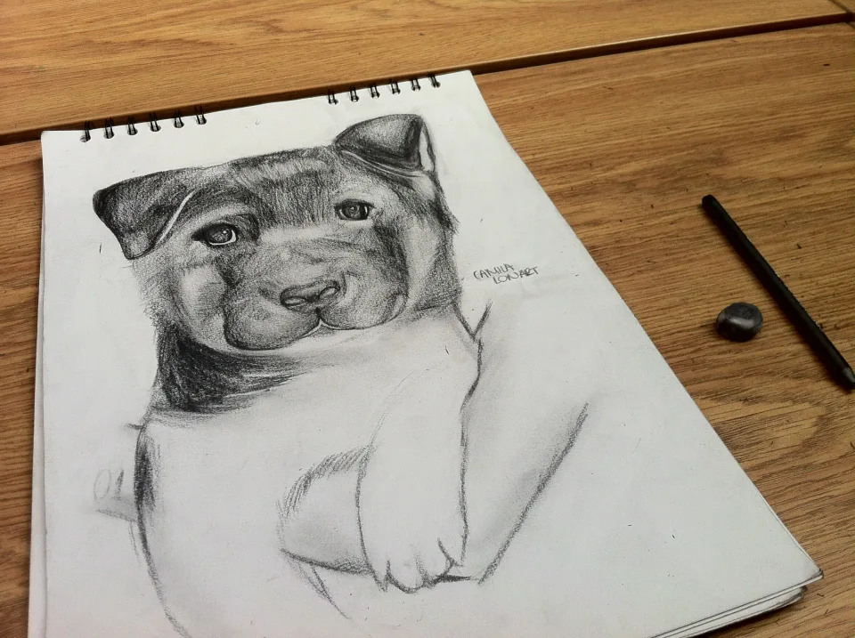Perrito — Pencil, 2012